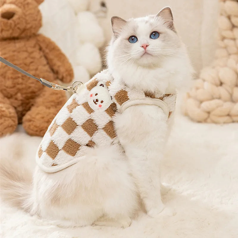 Cozy & Stylish: Winter's Best for Your Cats