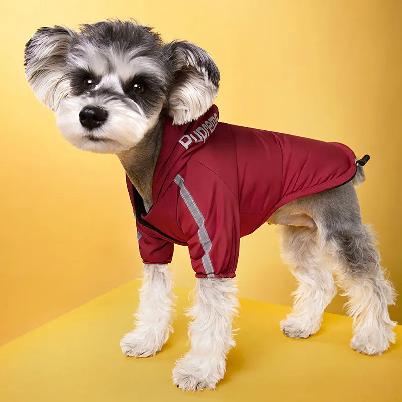 Drizzle-Proof Dog Wear: Your Furry Friend's Go-To for All Weather Adventures