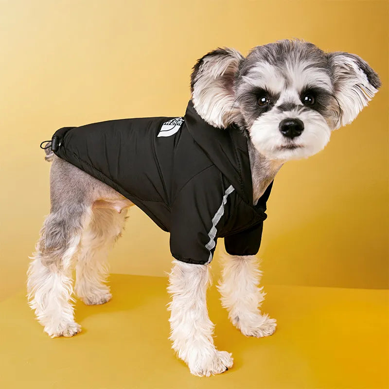 Drizzle-Proof Dog Wear: Your Furry Friend's Go-To for All Weather Adventures